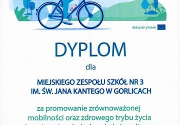 Dyplom - Rowerowe Wyzwanie