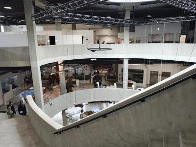 IMG_20260429_120023332_HDR (Copy).jpg
