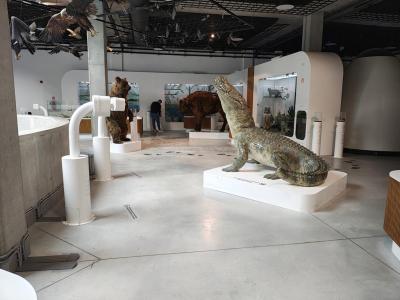 IMG_20260429_124355231_HDR (Copy).jpg